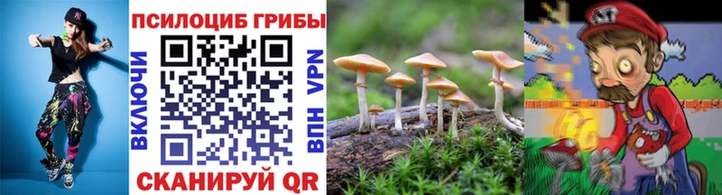 где можно купить   Чусовой  Галлюциногенные грибы MAGIC MUSHROOMS 